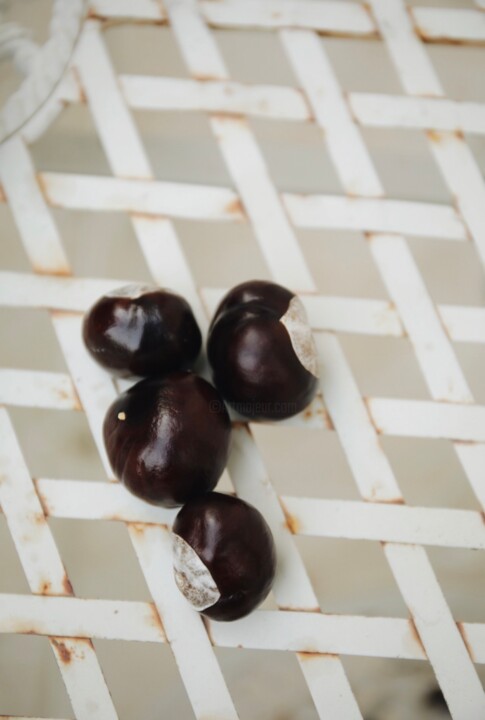 Photographie intitulée "Chestnut Season" par Sylvia Haghjoo, Œuvre d'art originale, Photographie numérique