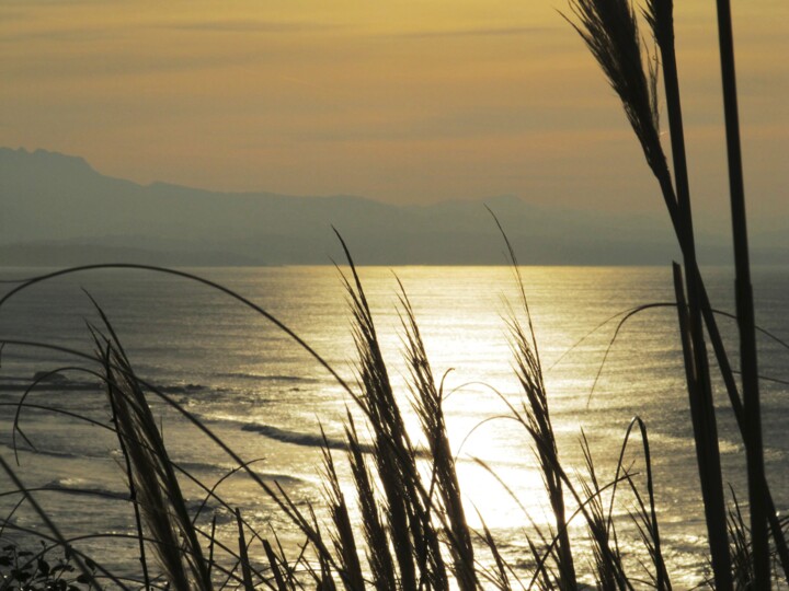 Fotografia intitolato "pampas.jpg" da Sylvid, Opera d'arte originale