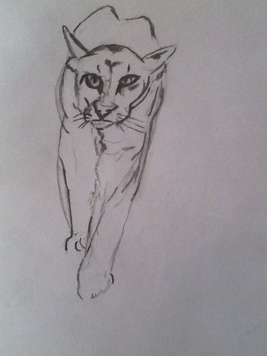 Dessin intitulée "Puma" par Sylvie Clementin, Œuvre d'art originale, Crayon