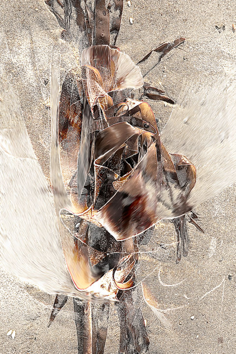 Arts numériques intitulée "Alguerie-0372-128 /…" par Sylvie Dessert (Syl), Œuvre d'art originale, Photo montage