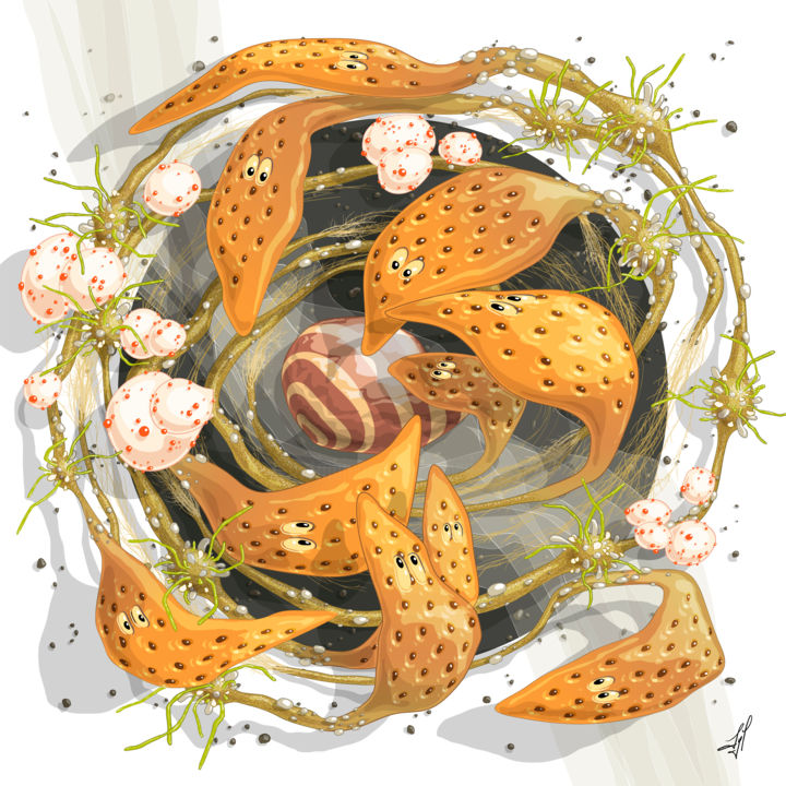 Digital Arts titled "Graines d'orange" by Sylvie Dessert (Syl), Original Artwork, 2D Digital Work