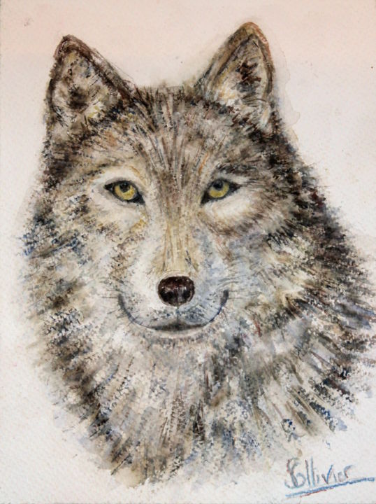 Painting titled "loup gris" by Sylvie Ollivier, Original Artwork, Watercolor