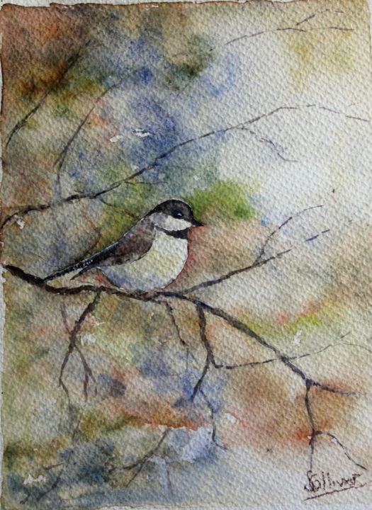 Painting titled "mésange bleue" by Sylvie Ollivier, Original Artwork, Watercolor