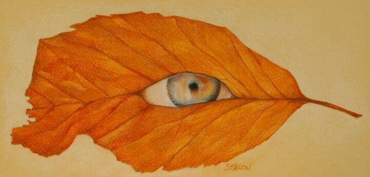 Dessin intitulée "Foeil" par Sylvie Talon, Œuvre d'art originale, Crayon