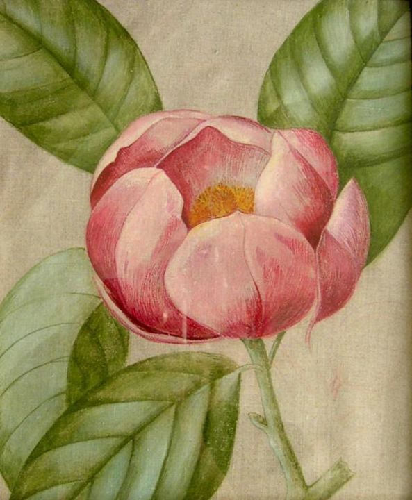 Peinture intitulée "MAGNOLIA" par Sylvie Langet Créations, Œuvre d'art originale, Huile