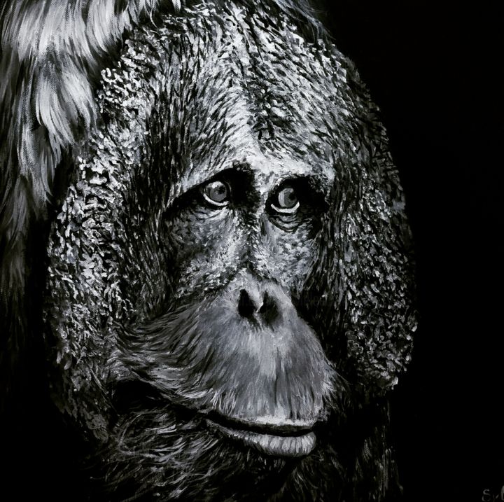 "Orang-outan" başlıklı Tablo Sylvie Lescan tarafından, Orijinal sanat, Petrol Ahşap Sedye çerçevesi üzerine monte edilmiş