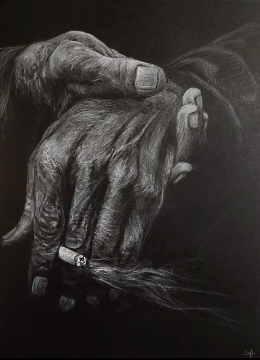 Dessin intitulée "Les vieilles mains" par Sylvie Lescan, Œuvre d'art originale, Pastel