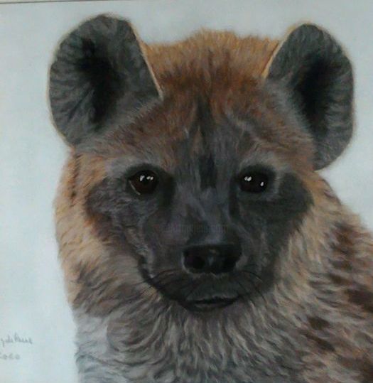 Peinture intitulée "hyène tachetée" par Sylvie Magdeleine, Œuvre d'art originale, Pastel