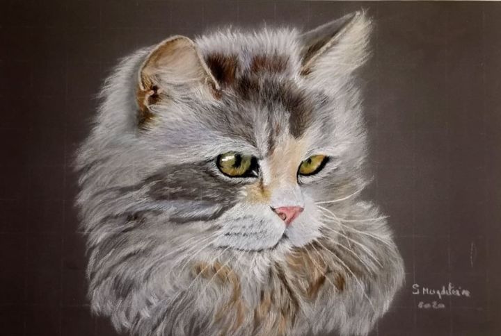 Peinture intitulée "chat persan" par Sylvie Magdeleine, Œuvre d'art originale, Pastel