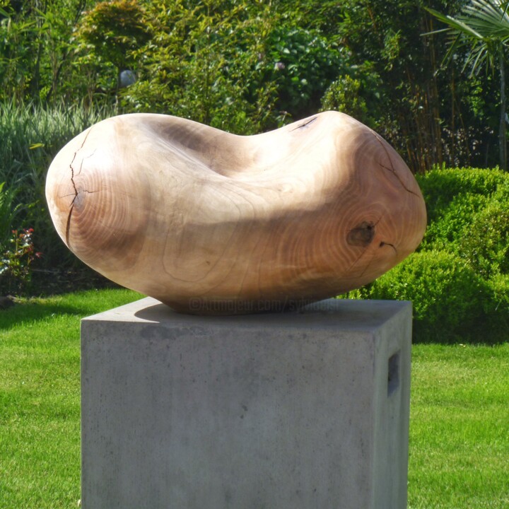 Escultura titulada "Bean" por Sylvio Eisl, Obra de arte original, Madera