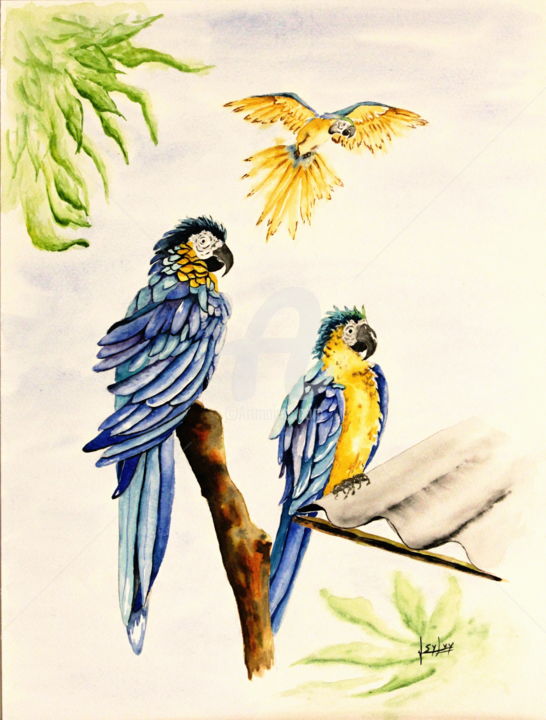Painting titled "Perroquets" by Sylvy Aquarelles, Original Artwork, Watercolor