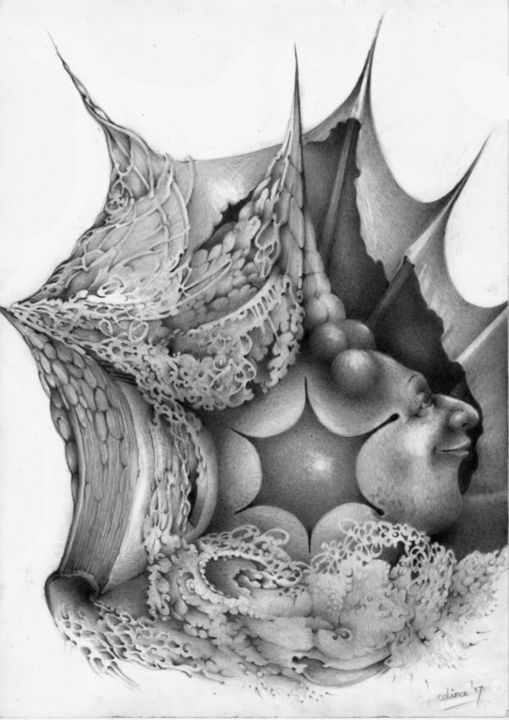 Рисунок под названием "Starfisher" - Symona Colina, Подлинное произведение искусства, Графит