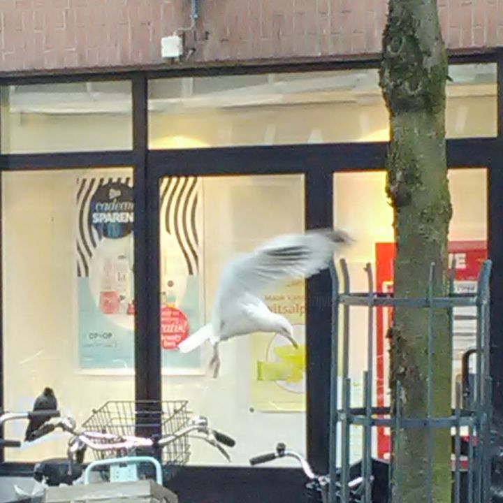 Fotografie getiteld "Landing" door Tom Schrijver, Origineel Kunstwerk