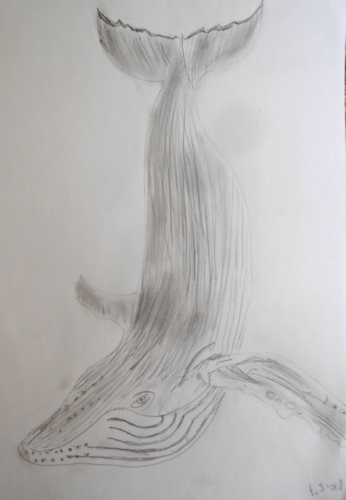 Drawing titled "wale" by Tom Schrijver, Original Artwork