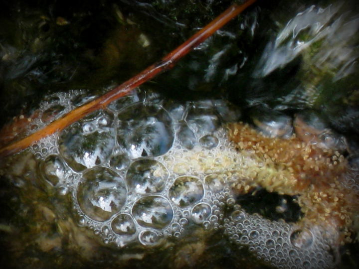 Fotografia intitulada "bubbles" por Tom Schrijver, Obras de arte originais