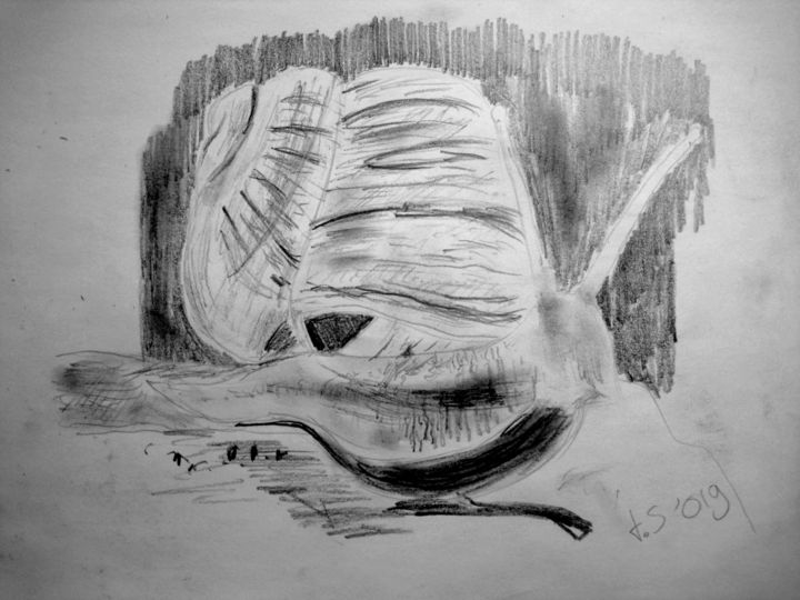 Drawing titled "snail" by Tom Schrijver, Original Artwork, Pencil