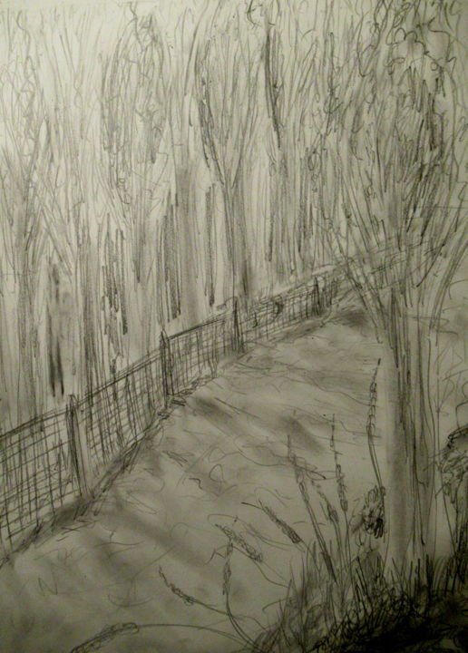 Рисунок под названием "forest path" - Tom Schrijver, Подлинное произведение искусства, Карандаш