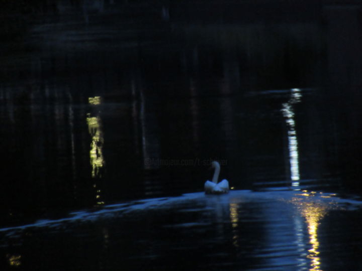 Fotografie mit dem Titel "swan at night" von Tom Schrijver, Original-Kunstwerk, Digitale Fotografie