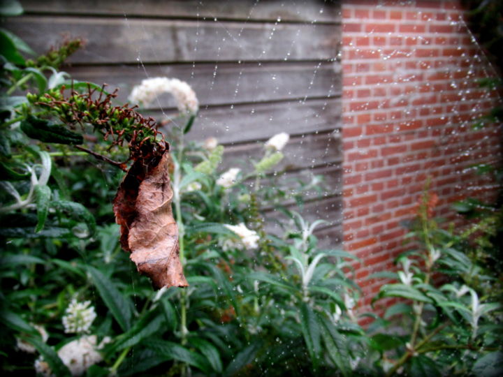 摄影 标题为“abandoned in rain” 由Tom Schrijver, 原创艺术品, 数码摄影
