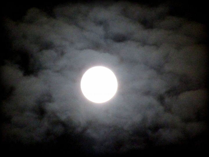 Φωτογραφία με τίτλο "moon" από Tom Schrijver, Αυθεντικά έργα τέχνης, Ψηφιακή φωτογραφία