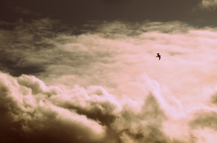 Fotografia intitolato "clouds" da Tom Schrijver, Opera d'arte originale, Fotografia digitale