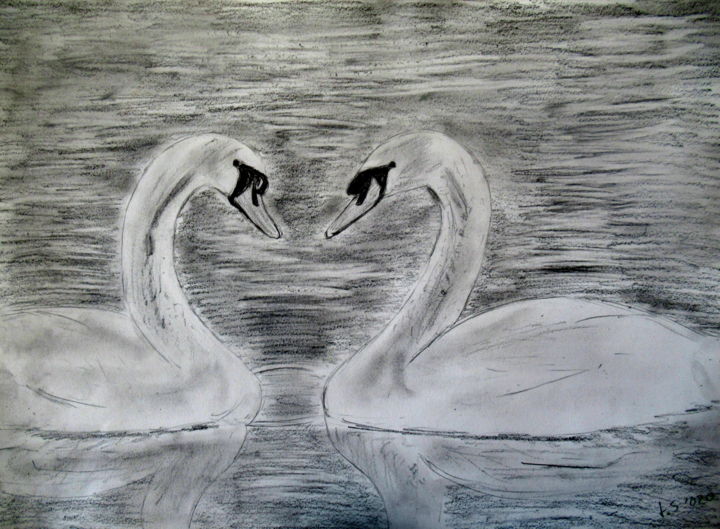Drawing titled "two swans" by Tom Schrijver, Original Artwork, Pencil