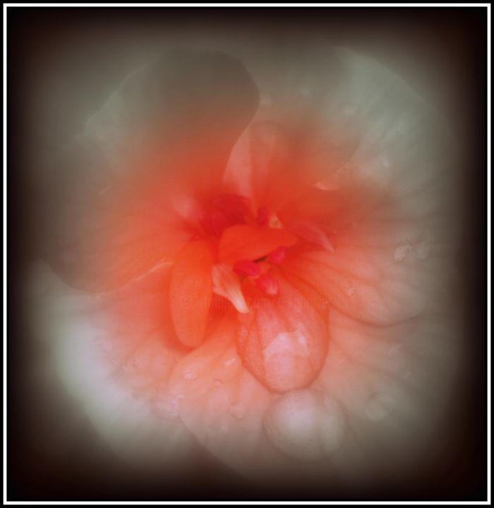 Photographie intitulée "eye" par Tom Schrijver, Œuvre d'art originale, Photographie numérique