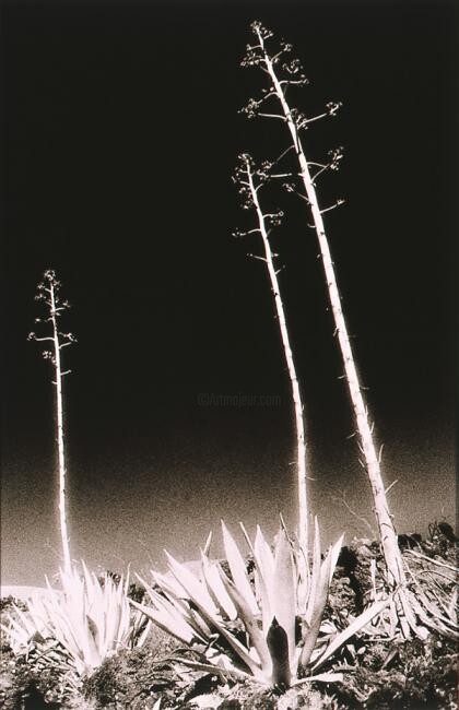 Fotografie mit dem Titel "Piteras vertical" von Javier Alonso, Original-Kunstwerk