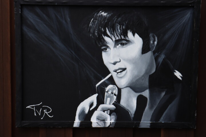 Pintura titulada "Elvis Comeback" por Taco Van Rheenen, Obra de arte original, Acrílico