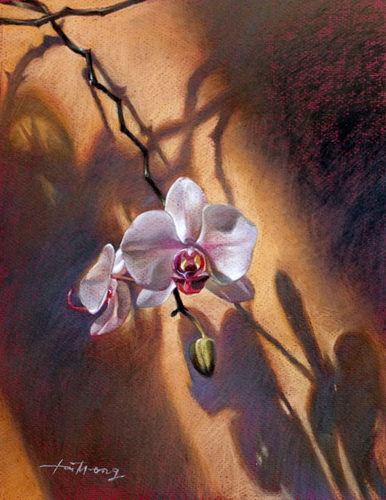 Painting titled "Orchid on The Wall" by Taimeng Lim, Original Artwork, Pastel