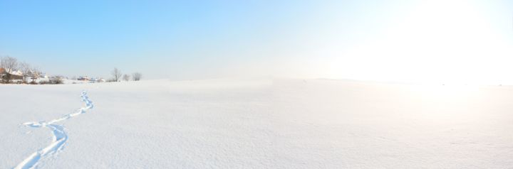 Photographie intitulée "Winter landscape" par Predrag Lukic, Œuvre d'art originale