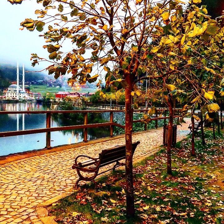 "img-20161024-145856…" başlıklı Fotoğraf talipyucel tarafından, Orijinal sanat,