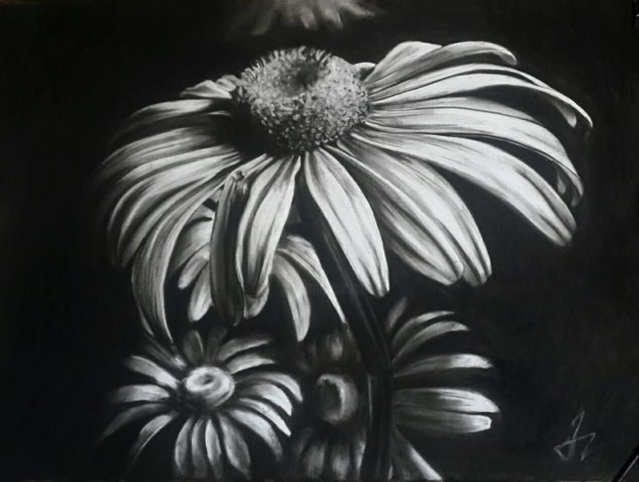 Dibujo titulada "Chamomile" por Tamar Mikaberidze, Obra de arte original, Carbón Montado en Vidrio