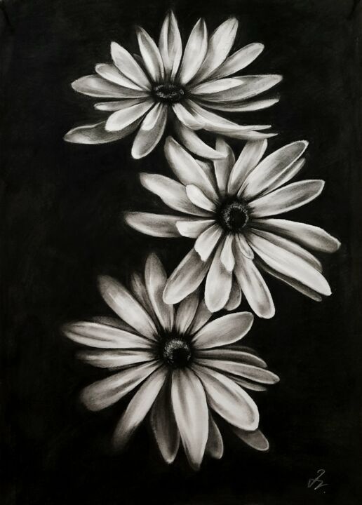 Painting titled "Chamomiles" by Tamar Mikaberidze, Original Artwork, Charcoal Mounted on artwork_cat.