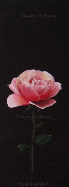 Drawing titled "Between the rose an…" by Tamara Valdovino, Original Artwork