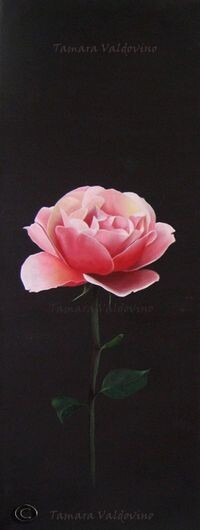 Painting titled "Between the rose an…" by Tamara Valdovino, Original Artwork