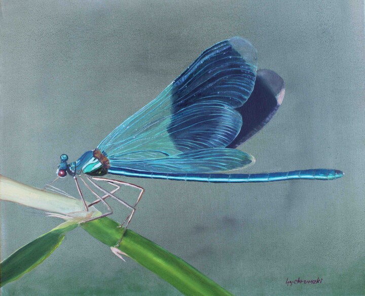 Pittura intitolato "Beautiful demoiselle" da Tamás Gyebrovszki, Opera d'arte originale, Olio