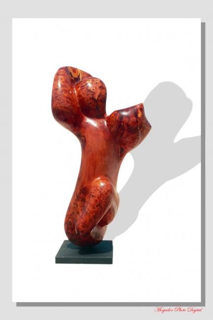 Sculpture intitulée "elan" par Mustafa Boumzzough, Œuvre d'art originale
