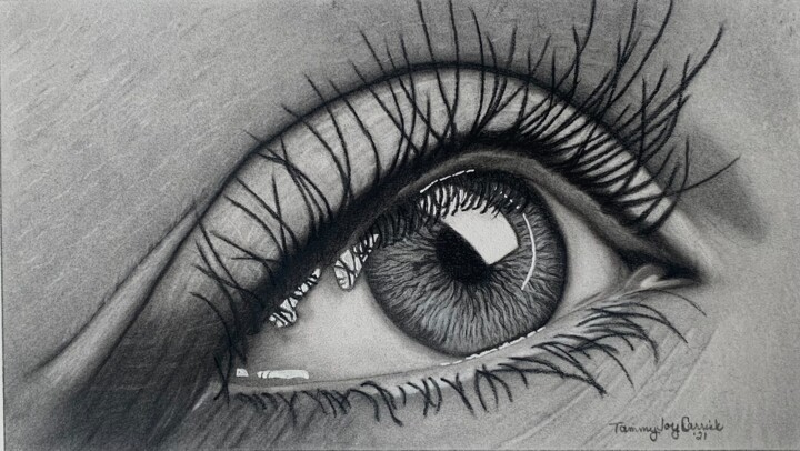 图画 标题为“The Human Eye” 由Tammy Carrick, 原创艺术品, 木炭