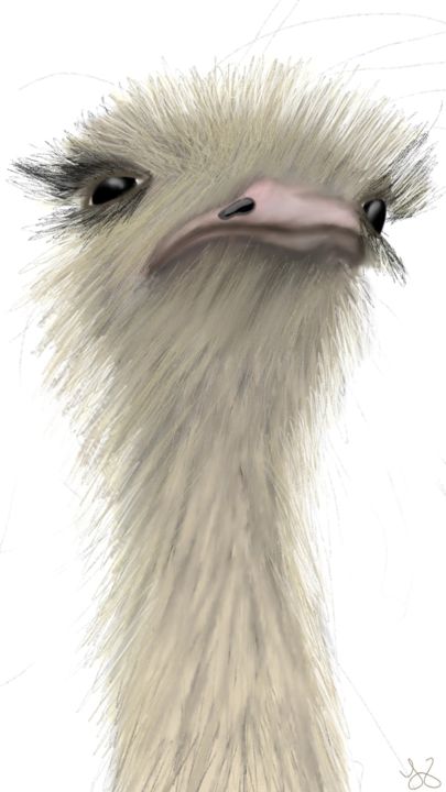 Digitale Kunst mit dem Titel "A Serious Ostrich" von Tammy Judd, Original-Kunstwerk