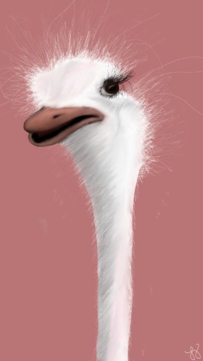 Digitale Kunst mit dem Titel "Silly Ostrich" von Tammy Judd, Original-Kunstwerk