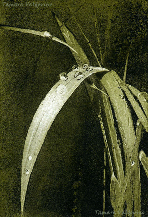 Printmaking titled "Bright grass" by Tamy Valdovino, Original Artwork