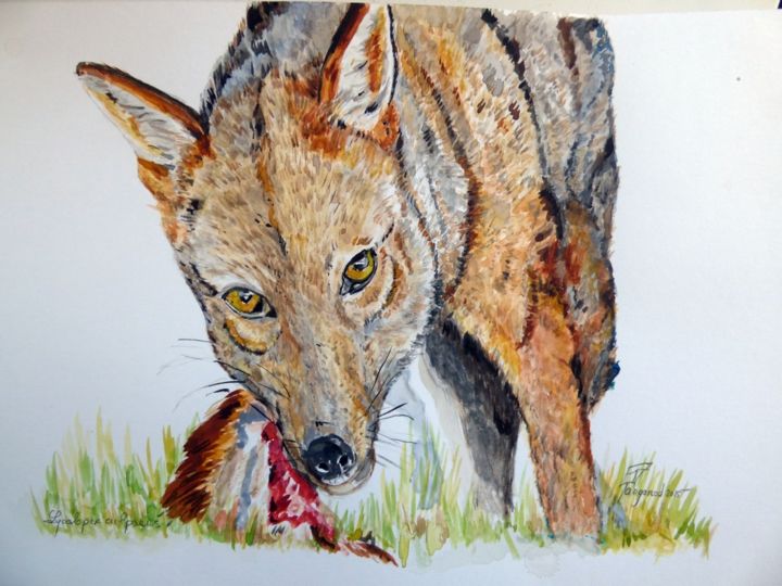 Painting titled "LOUP" by Tangored, Original Artwork, Watercolor