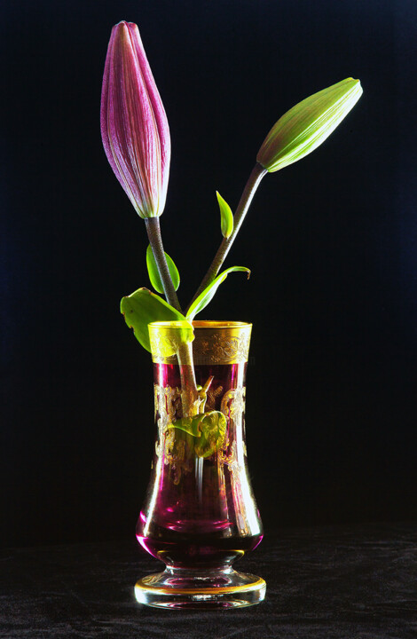 Photographie intitulée "Lily" par Tania Serket, Œuvre d'art originale, Photographie numérique