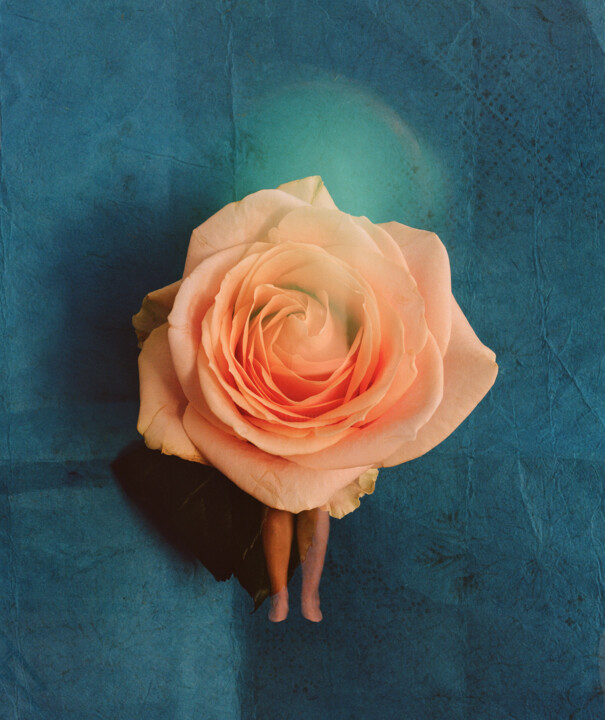 Fotografía titulada "A rose smells blue" por Tania Serket, Obra de arte original, Fotografía analógica