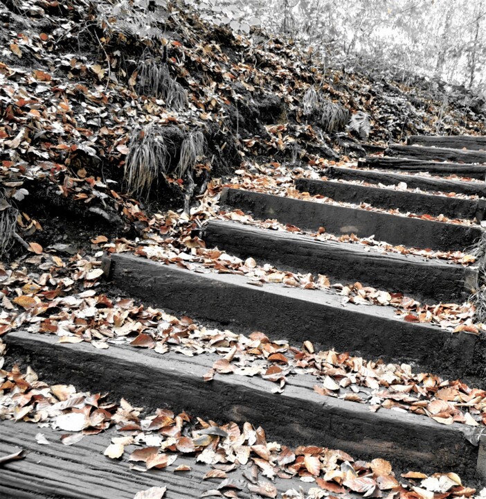Фотография под названием "the stairs" - Tanja Niegsch, Подлинное произведение искусства, Цифровая фотография