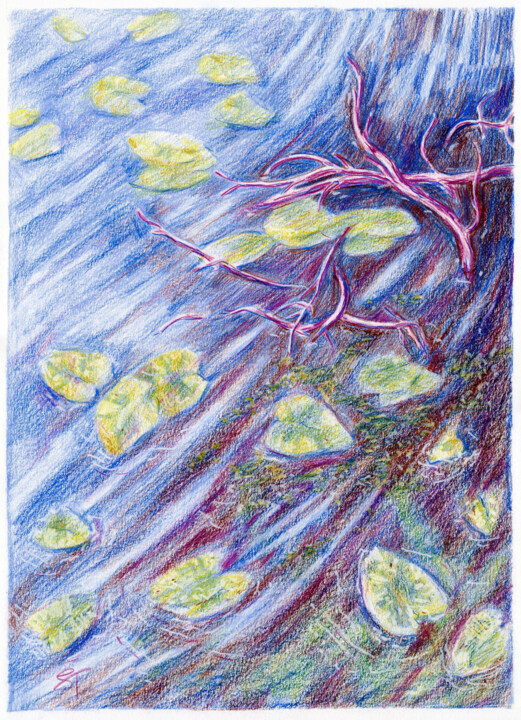 Tekening getiteld "Floating Water Lili…" door Tanya Sviatlichnaya, Origineel Kunstwerk, Conté