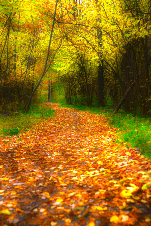 Fotografia intitolato "Mood Color - Autumn…" da Alexander Tarasenkov, Opera d'arte originale, Fotografia manipolata