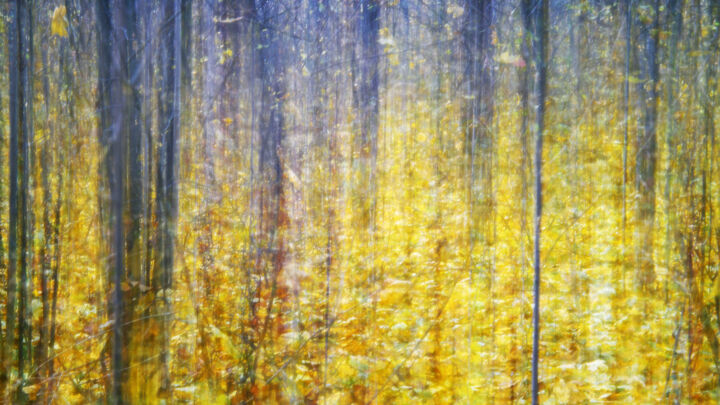 Fotografie getiteld "Mood Color - Autumn…" door Alexander Tarasenkov, Origineel Kunstwerk, Gemanipuleerde fotografie