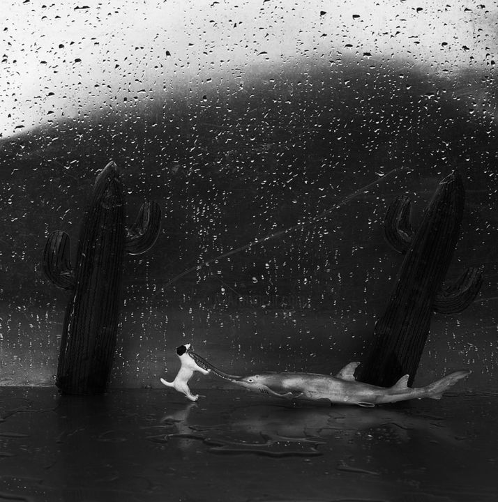 Photographie intitulée "" vivre l'instant "…" par Serguei Tarassov, Œuvre d'art originale